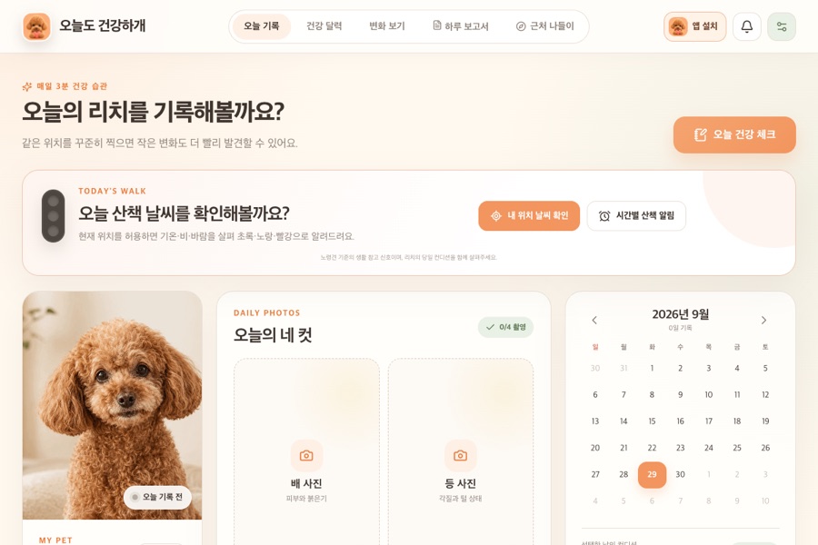 오늘도 건강하게 실제 실행 화면
